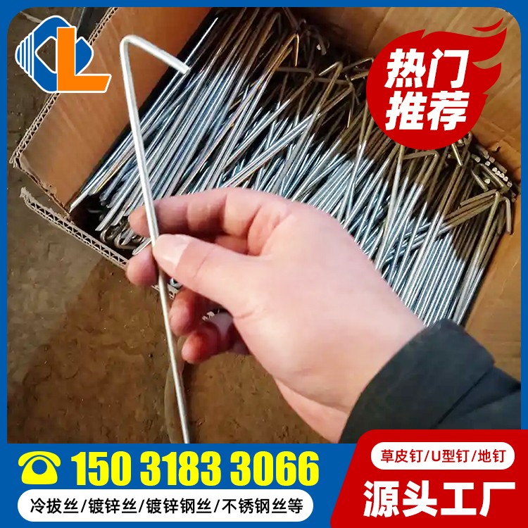 表面帶紋草坪釘 地釘直釘 草坪釘規(guī)格 土工格柵釘子