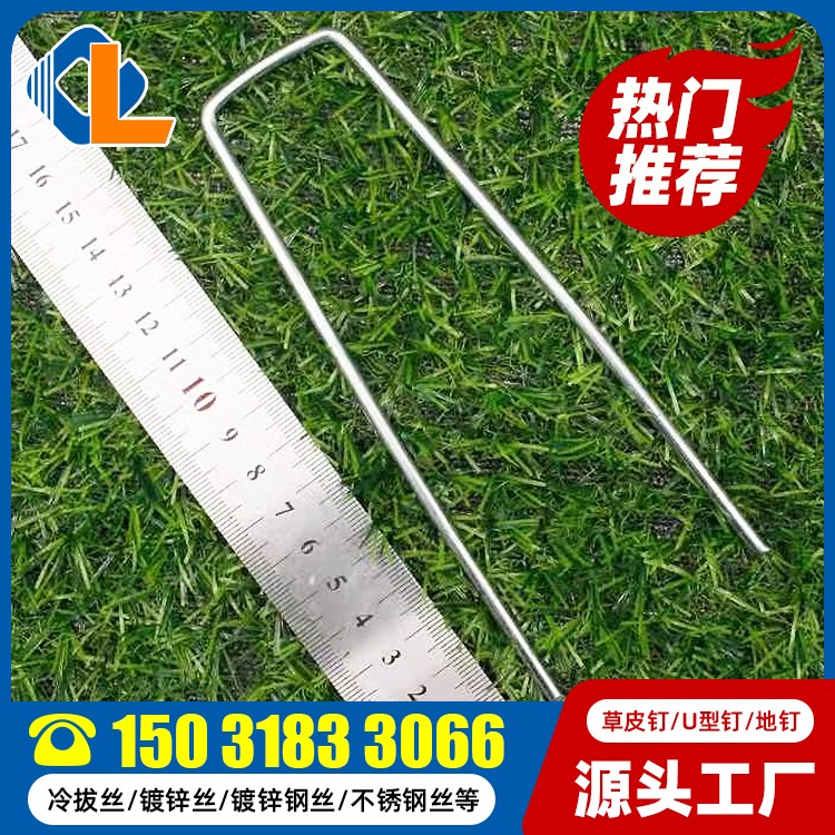 草皮釘固定器圖片 草坪釘生產(chǎn)廠家 草坪釘一般在哪可以買到 草坪釘直釘