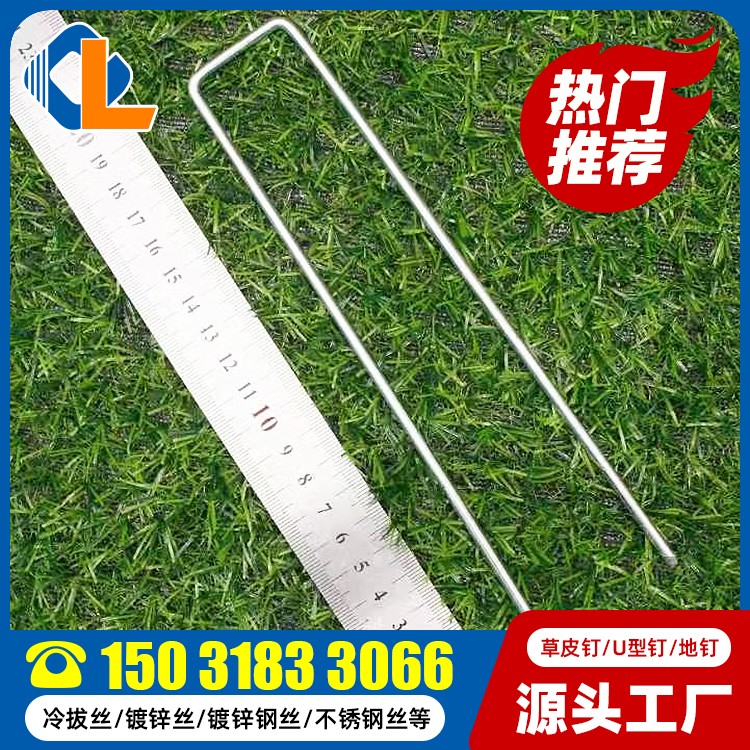 人工草場適合什么釘 20cm長草皮釘 土工格柵U型釘規(guī)格 草坪釘子