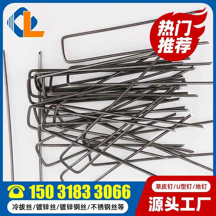 草皮釘固定土工格柵 地釘廠家 什么是草坪釘 土工格柵固定草坪釘